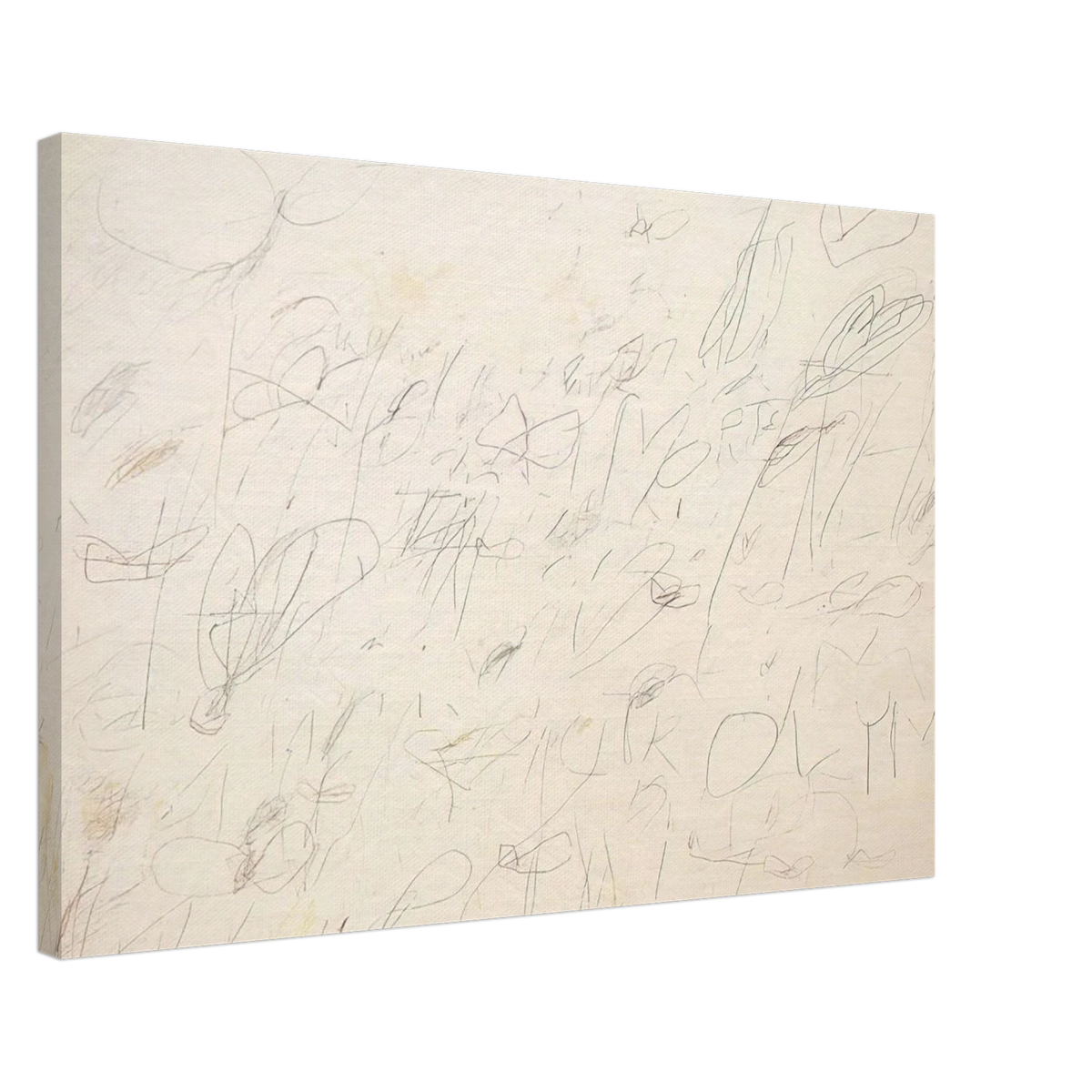 Olympia Canvas | Cy Twombly Canvas | Cy Twombly Store