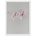 Nine Discourses on Commodus, Part II Framed Poster | Cy Twombly Framed Prints Wall Art | Cy Twombly Store