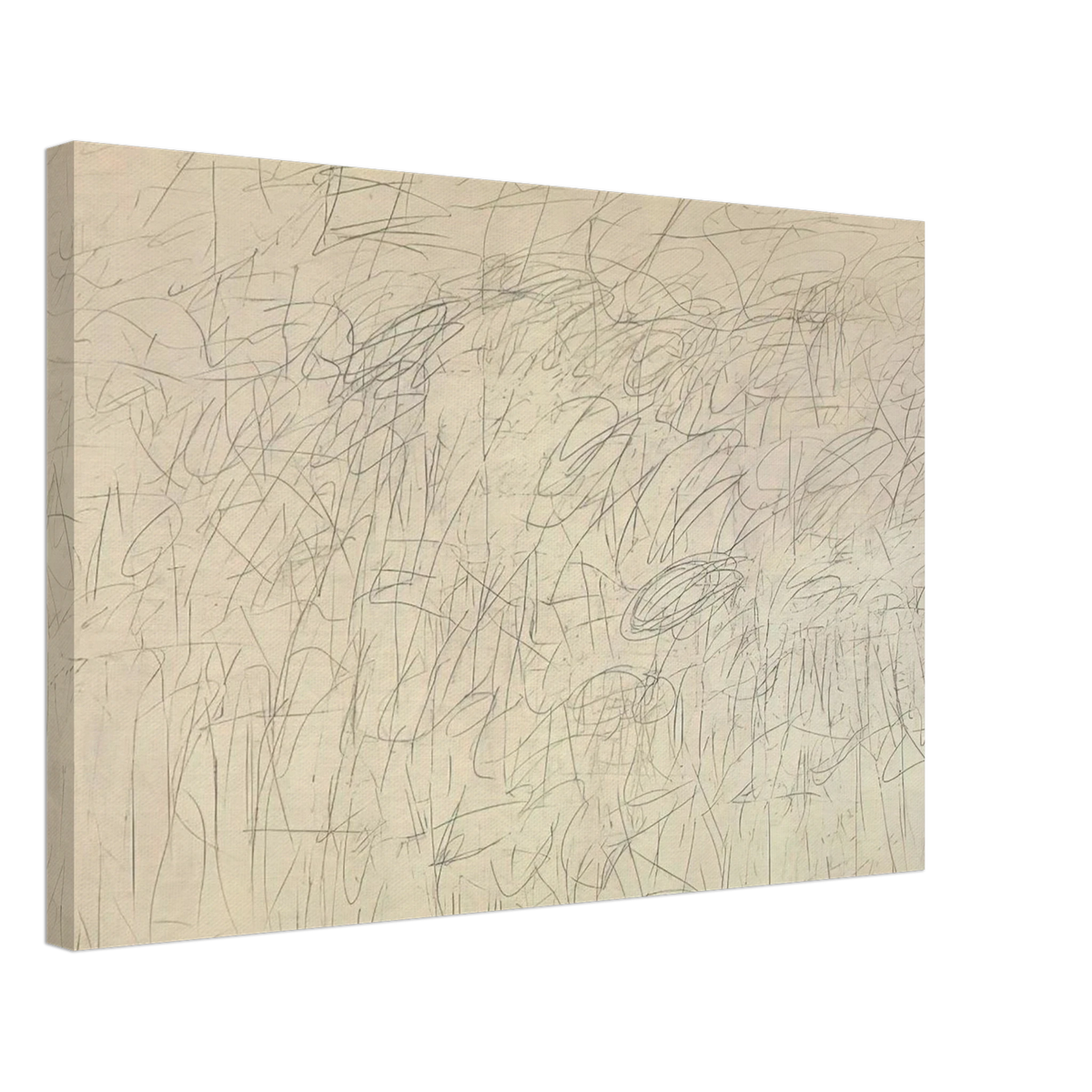 Academy Canvas | Cy Twombly Canvas | Cy Twombly Store