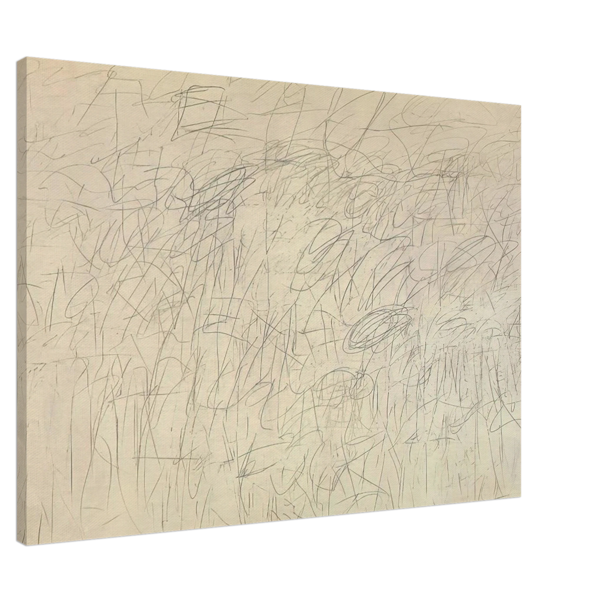 Academy Canvas | Cy Twombly Canvas | Cy Twombly Store