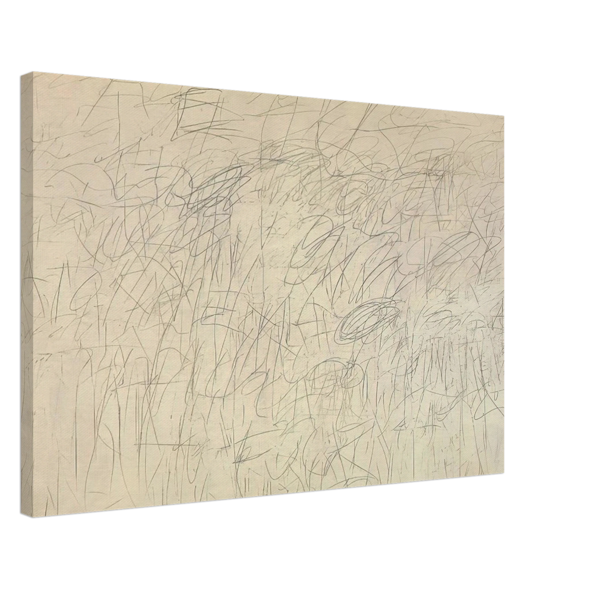Academy Canvas | Cy Twombly Canvas | Cy Twombly Store