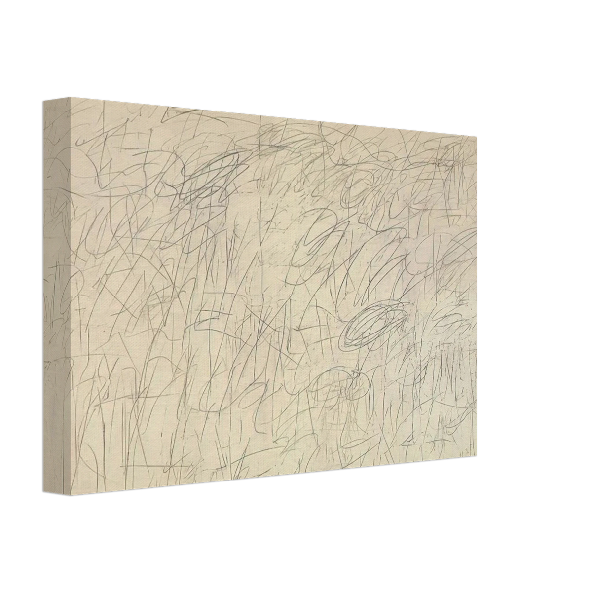 Academy Canvas | Cy Twombly Canvas | Cy Twombly Store
