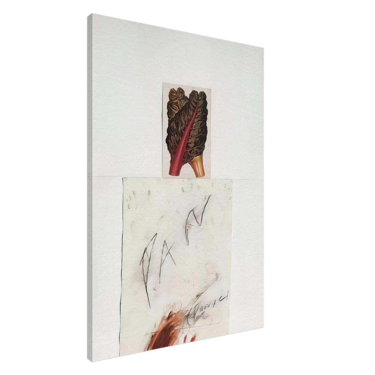 Pan Canvas | Cy Twombly Canvas | Cy Twombly Store